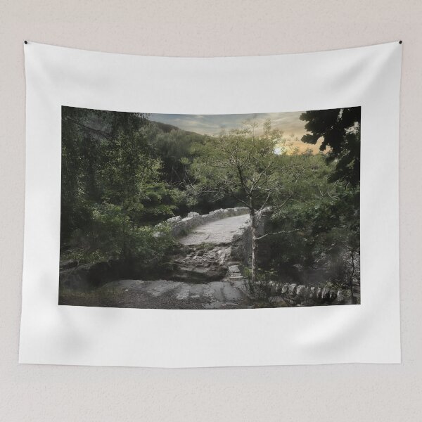 Item preview, Broken Bridge designed and sold by EdTheFrogPhotos.