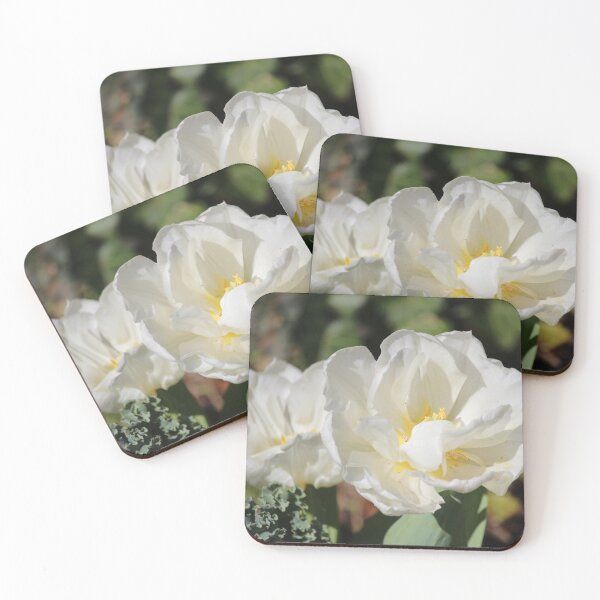 Item preview, White Camellias In Bloom designed and sold by Cynthia48.