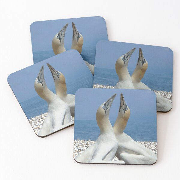 Item preview, Northern Gannets in love designed and sold by shotsfromthehip.