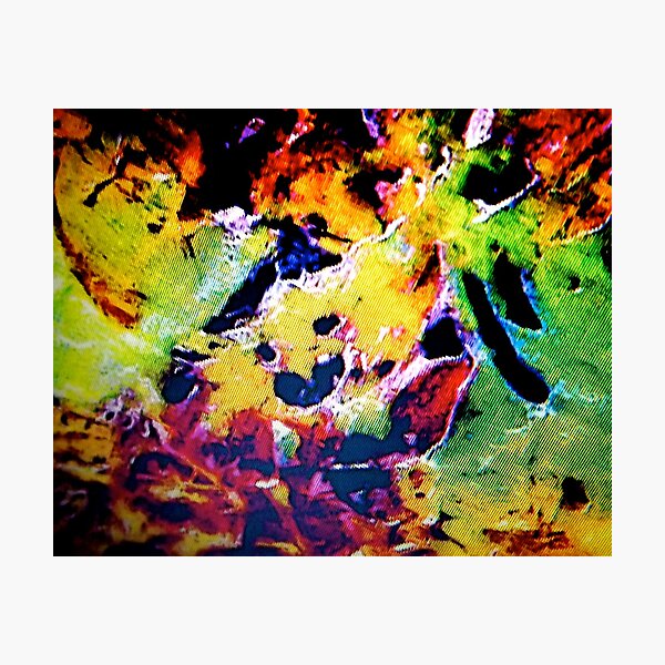 Izzy! Photographic Print