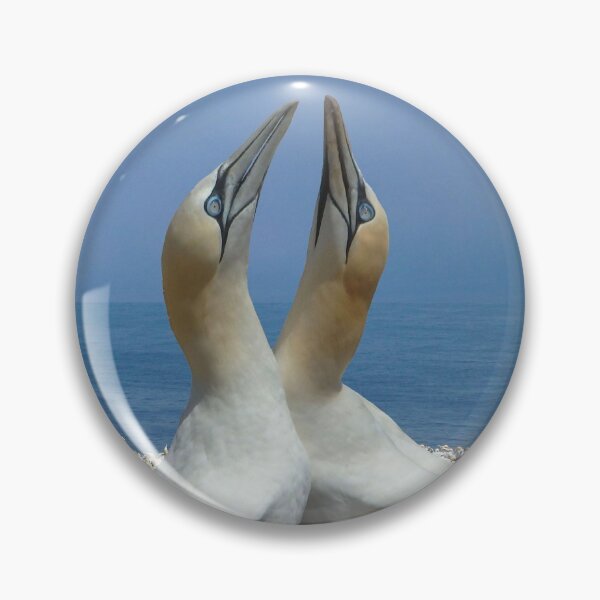 Item preview, Northern Gannets in love designed and sold by shotsfromthehip.