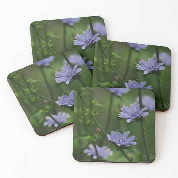 Item preview, Chicory designed and sold by Poete100.