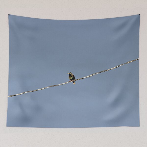 Item preview, Bird on a Wire designed and sold by Susie Kramer.