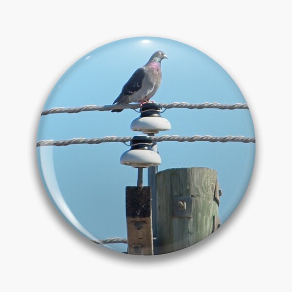 Item preview, Pigeon on a Pole designed and sold by Susie Kramer.