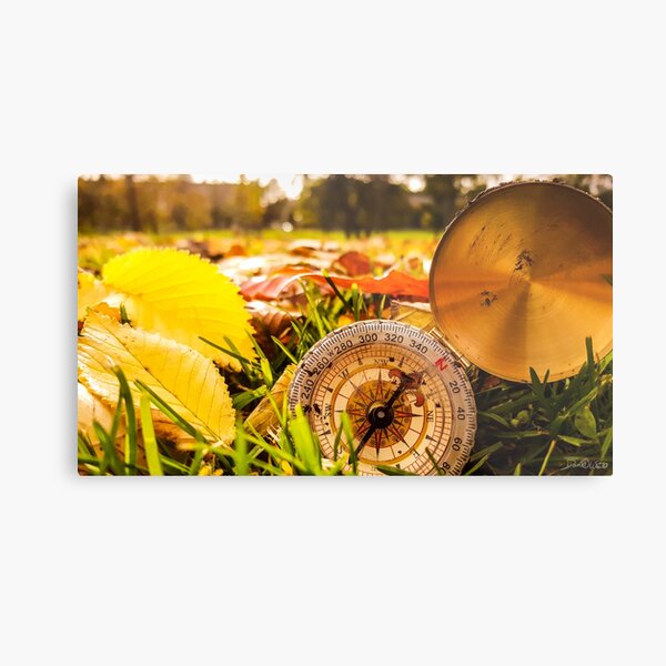 Never Stop Exploring Metal Print