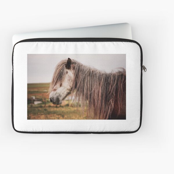 Aperçu de l'œuvre Eriskay poney créée et vendue par JefM.
