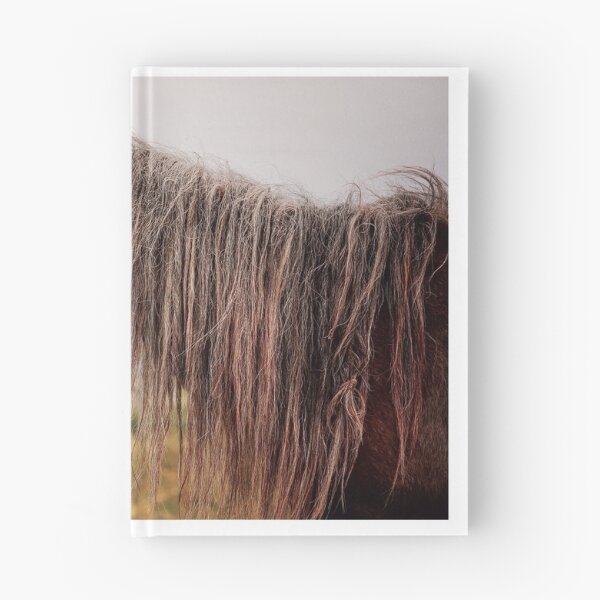 Item preview, Eriskay poney designed and sold by JefM.