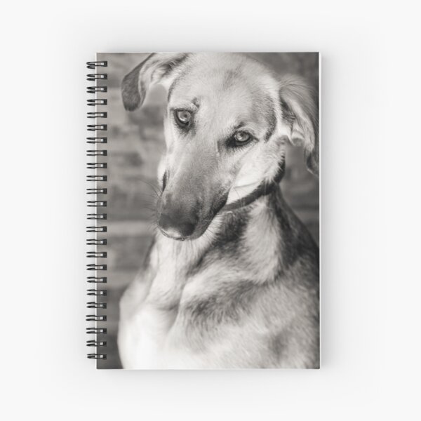 Portrait de chien lévrier de race mixte tonique Cahier à spirale