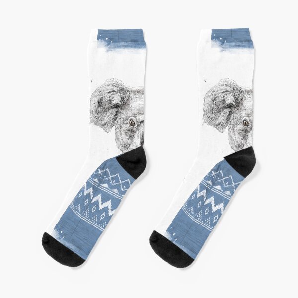 Winter koala Socks