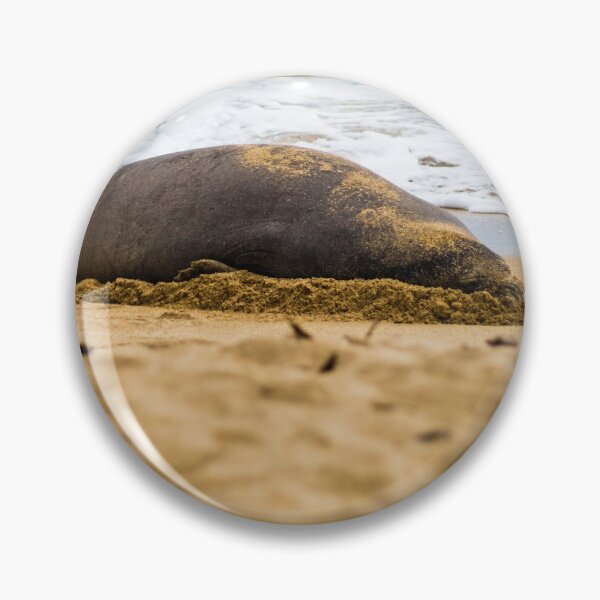 Item preview,  Hawaiian monk seal 2 designed and sold by KensLensDesigns.
