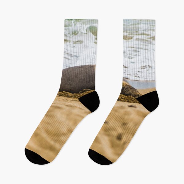 Item preview,  Hawaiian monk seal 2 designed and sold by KensLensDesigns.