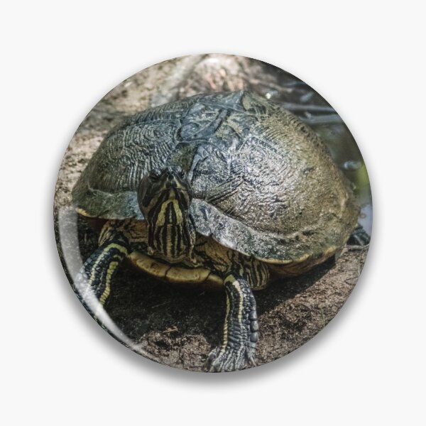 Item preview, Turtle Yellow-bellied Slider designed and sold by KensLensDesigns.