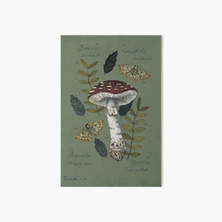 Amanita Muscaria with moths and leaves botanical illustration Art Board Print
