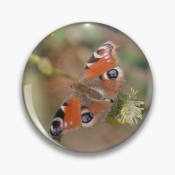 Item preview, Isolation designed and sold by Photography  by Mathilde.