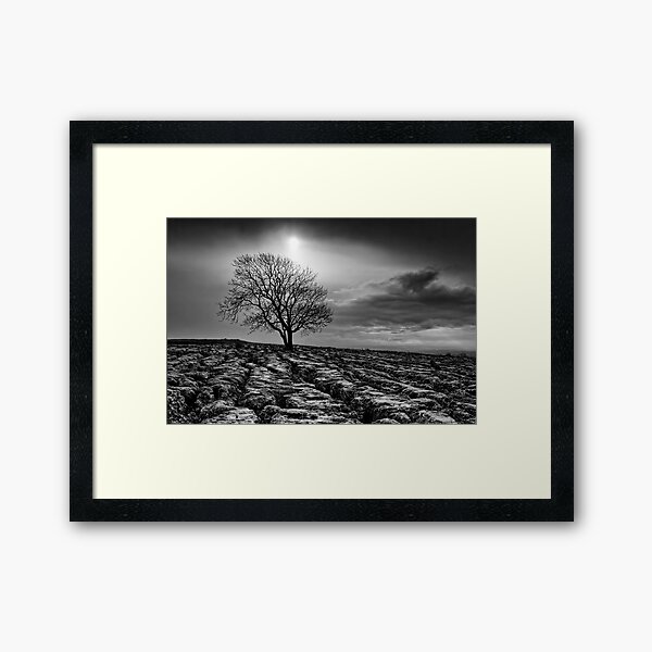 Malham Tree 02 - Yorkshire Dales, UK Framed Art Print