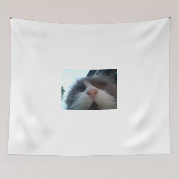 Item preview, Cat is straight vibing designed and sold by elegancedefined.