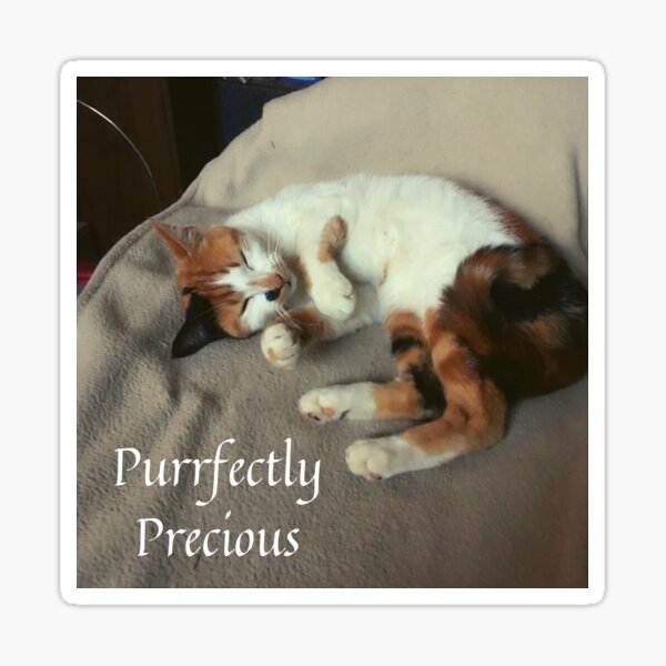 Doris Purrfectly Precious boss of the house Sticker