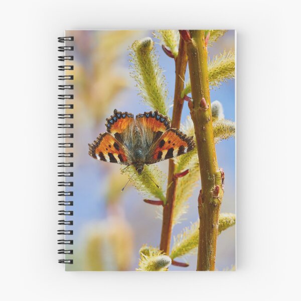 Item preview, Small Tortoiseshell designed and sold by Mark Bangert.