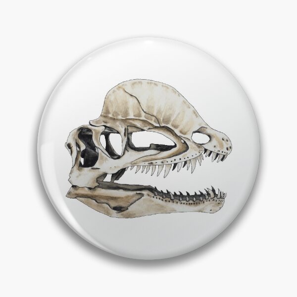 Item preview, Dilophosaurus Skull designed and sold by ShoddyFox.