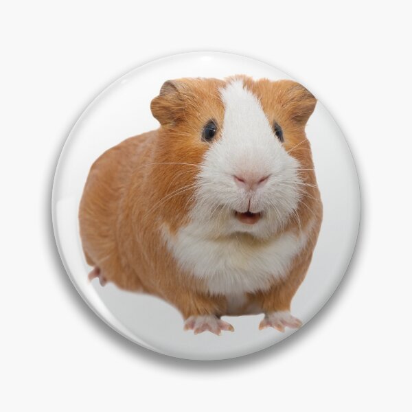 red guinea pig Pin