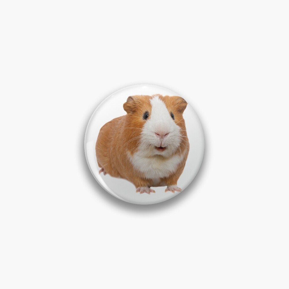 red guinea pig Pin
