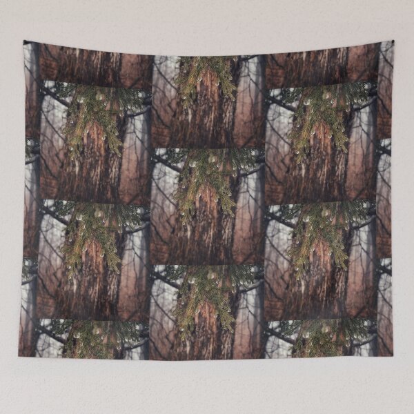 Item preview, Rain on Cedar designed and sold by J Rier Photography.