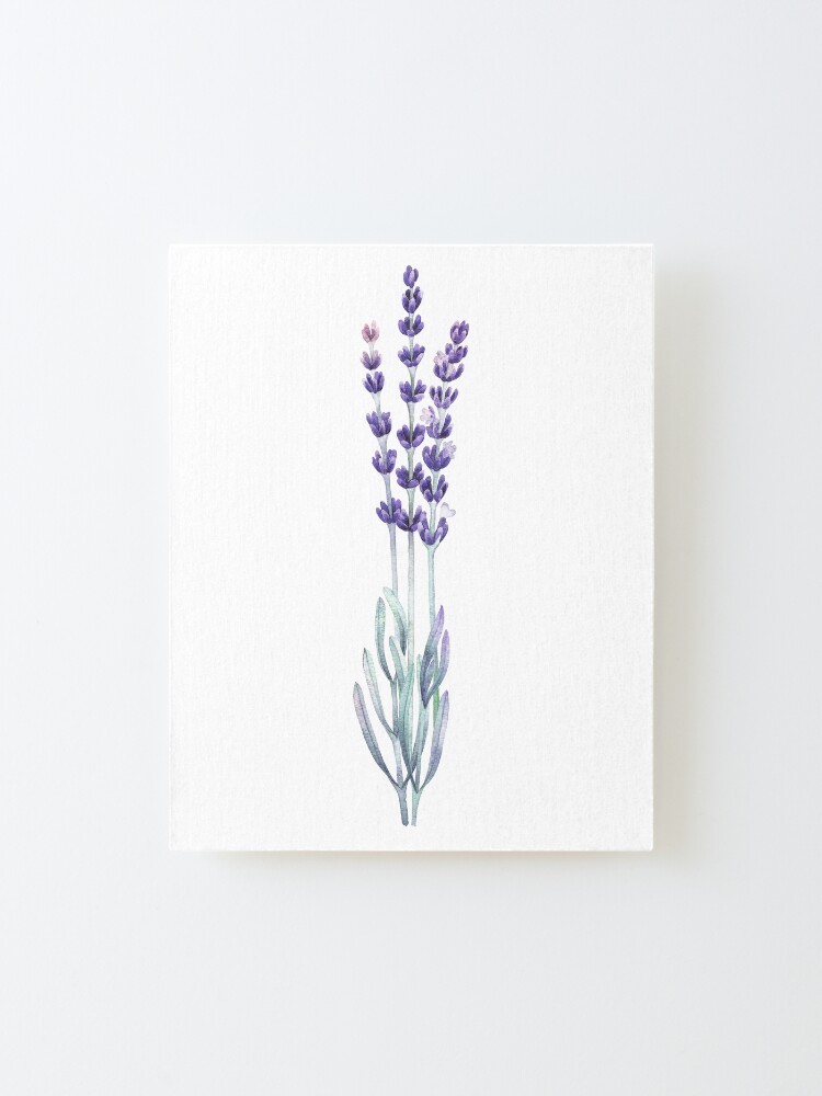 Alternate view of Watercolor lavender Mounted Print