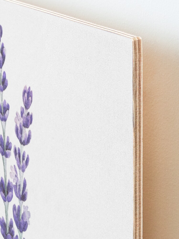 Alternate view of Watercolor lavender Mounted Print