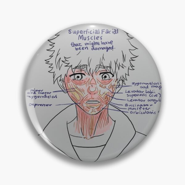 Item preview,  HIDE superficial muscles! PIN! designed and sold by angsty-angst.