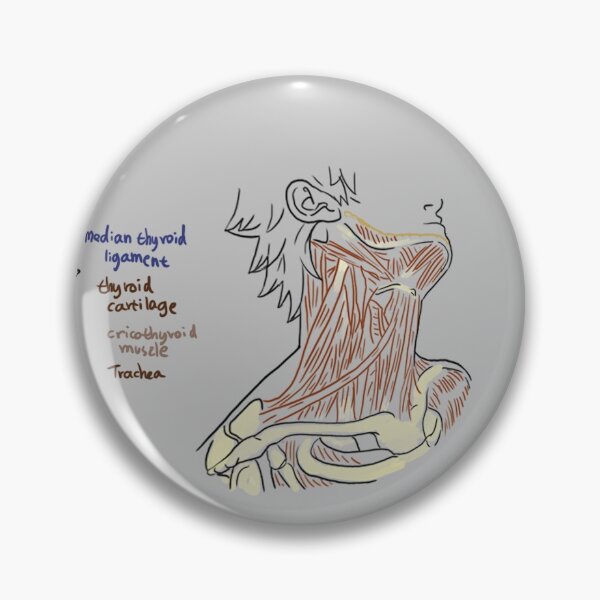 Item preview, Throat anatomy of Hide! PIN! designed and sold by angsty-angst.