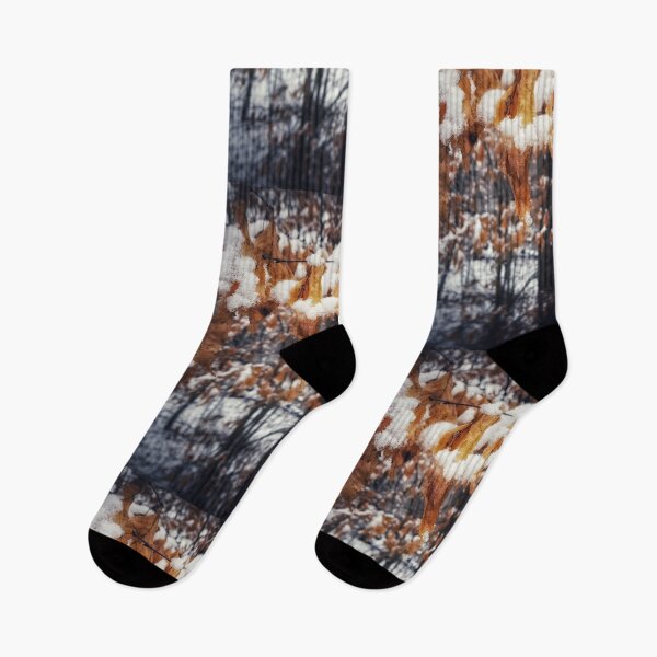 Item preview, Snow clinging to beech leaves  designed and sold by J Rier Photography.