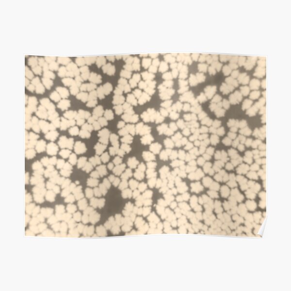 Spots of Light Poster