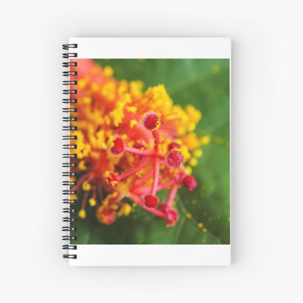 Hibiscus stamen macro Spiral Notebook