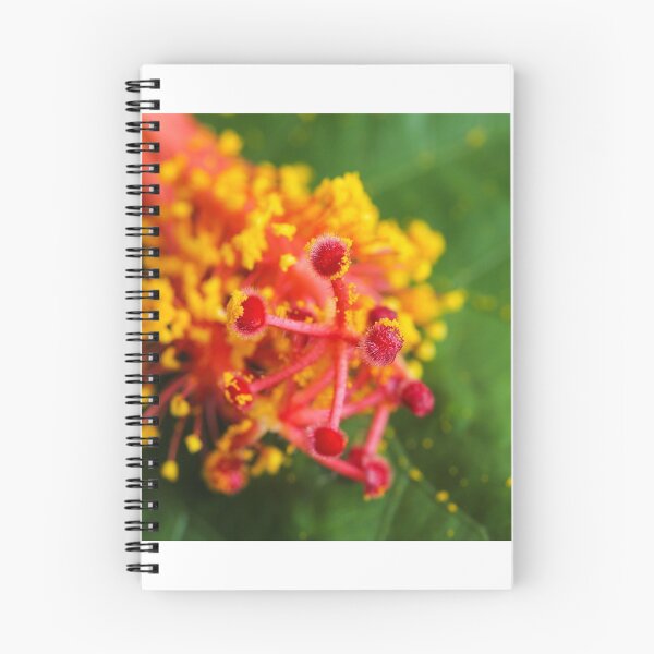 Item preview, Hibiscus stamen macro designed and sold by vm2002.