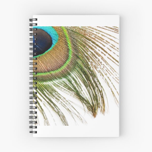 Item preview, Peacock feather designed and sold by vm2002.