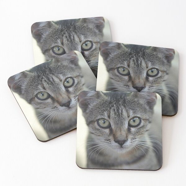 Item preview, Portrait of grey cute kitten designed and sold by olena2552.