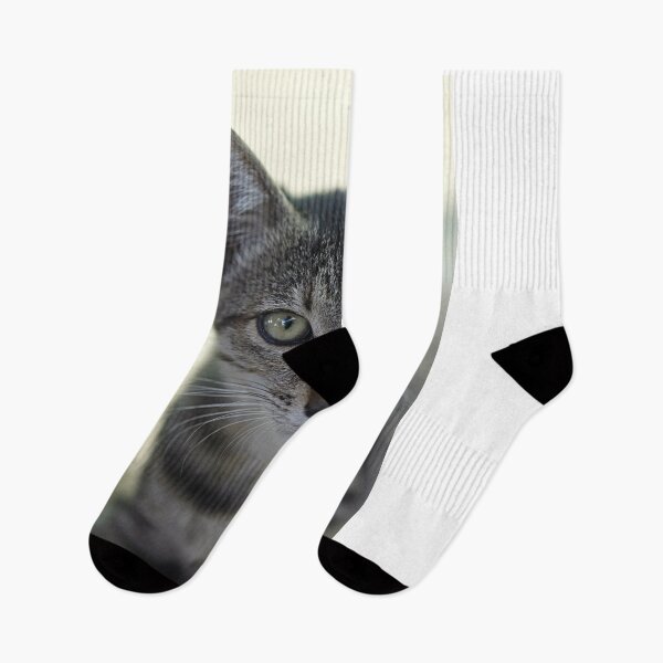 Item preview, Portrait of grey cute kitten designed and sold by olena2552.