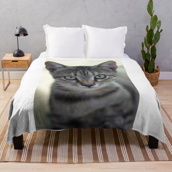 Item preview, Portrait of grey cute kitten designed and sold by olena2552.