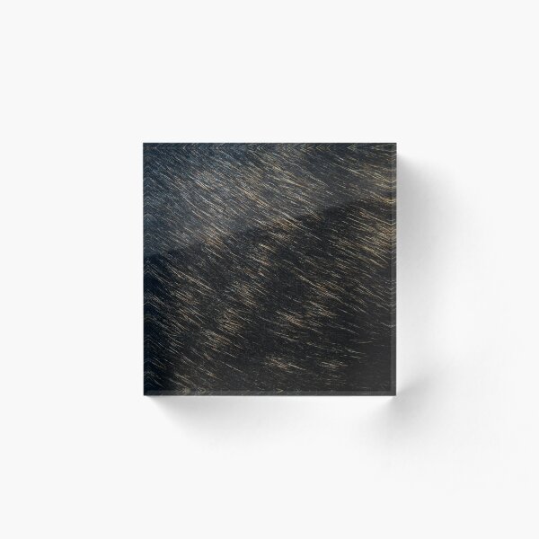 Brindle fur - black and golden Acrylic Block