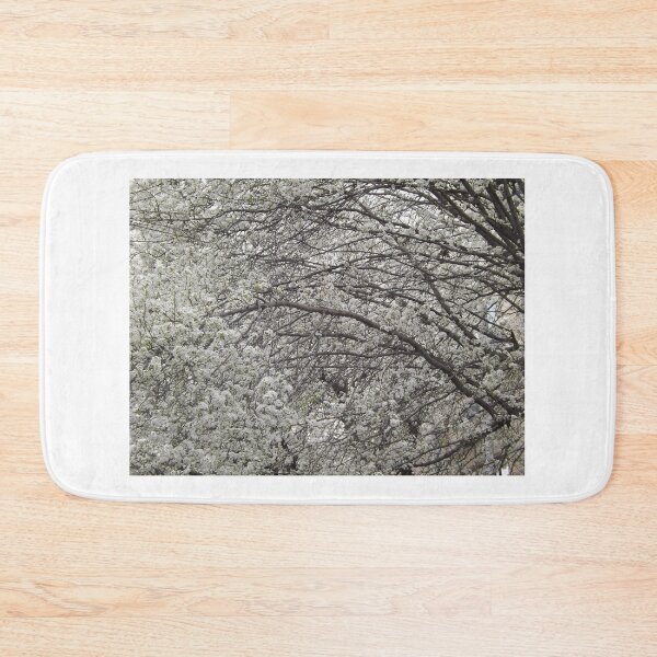 Item preview, Spring Colors, Hoboken, New Jersey designed and sold by lenspiro.