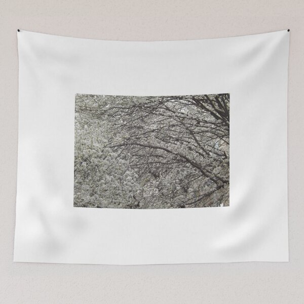 Item preview, Spring Colors, Hoboken, New Jersey designed and sold by lenspiro.