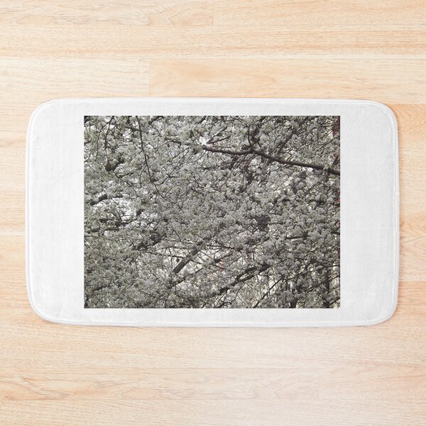 Item preview, Spring Colors, Hoboken, New Jersey designed and sold by lenspiro.