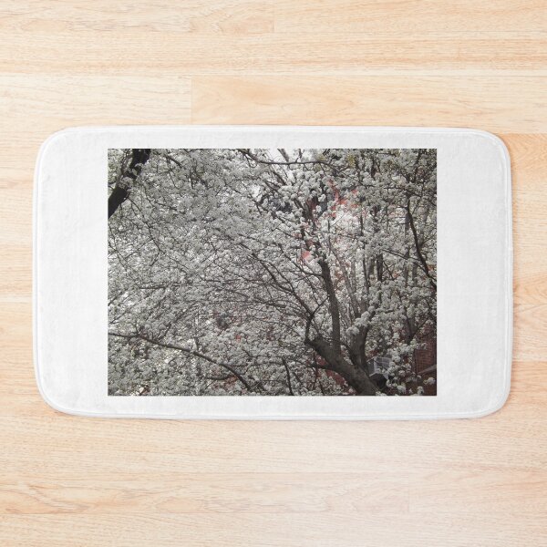 Item preview, Spring Colors, Hoboken, New Jersey designed and sold by lenspiro.