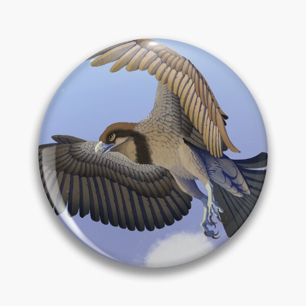 Aperçu de l'œuvre Oiseau de proie - Contexte créée et vendue par Altarior.