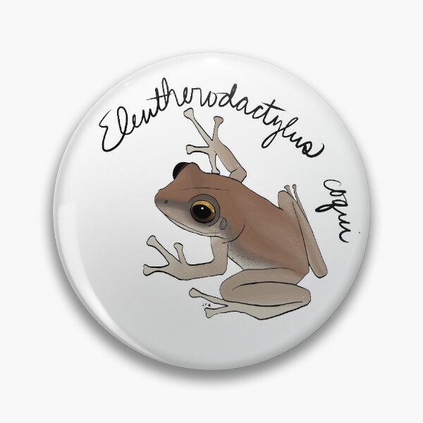 Artikelvorschau, Eleutherodactylus coqui entworfen und verkauft von kmwinchell.
