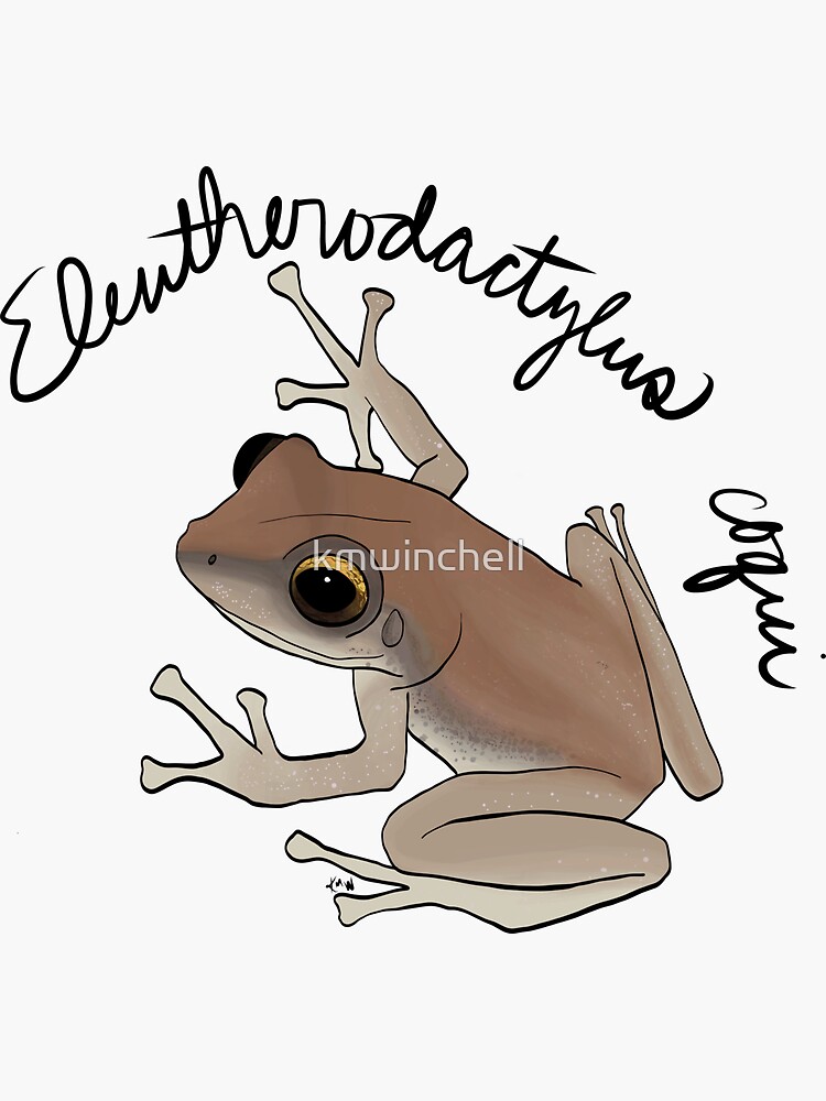 10+ Drawing Coqui Frog