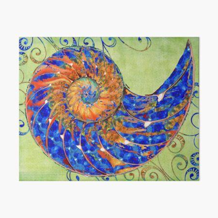 Nautilus Shell Sea Shells Art Board Print By Sharoncummings Redbubble
