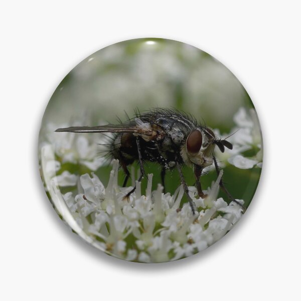 Item preview, Fly On Flower designed and sold by MidnightHoots.