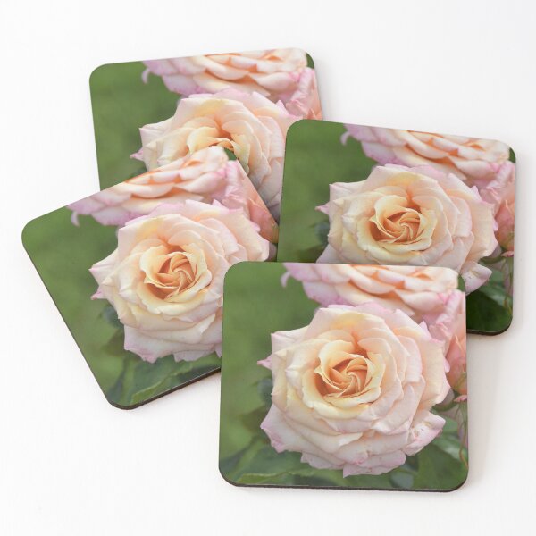Item preview, Beautiful Blush Pink Rose designed and sold by newburyboutique.