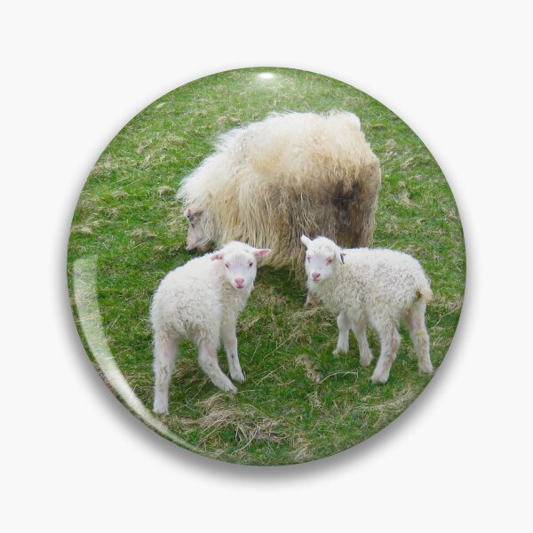 Item preview, Lambs and sheeps designed and sold by AHELENE.